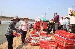 Tháng 6 hoàn thành bồi thường, hỗ trợ thiệt hại cho người dân vùng biển
